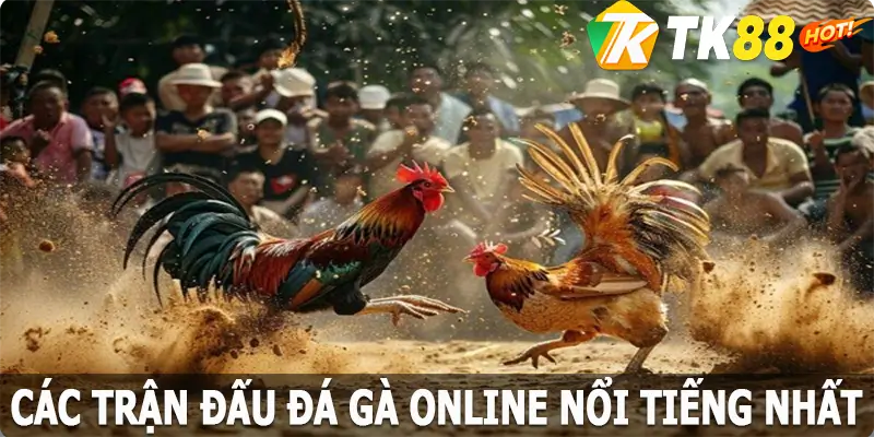 Các trận đấu đá gà online nổi tiếng nhất tại nhà cái TK88