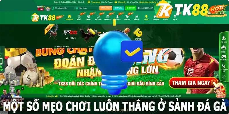 Một số mẹo hữu ích để chinh phục các trò chơi chọi gà đỉnh cao