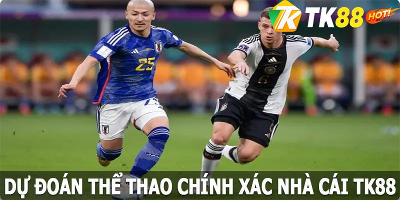 Cách Dự Đoán Thể Thao Chính Xác Dành Cho Cược Thủ