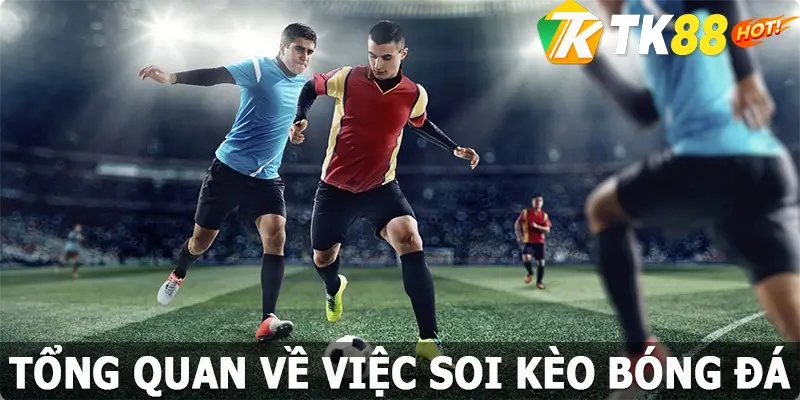 Tổng quan về việc soi kèo bóng đá TK88